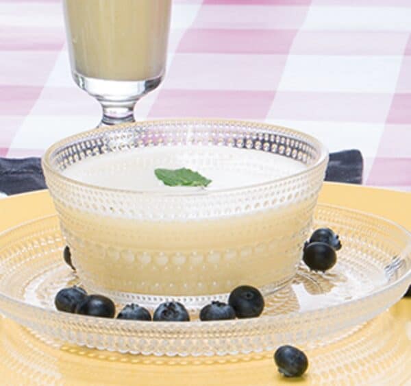 PS02001 Dessert Vanille PowerSlim